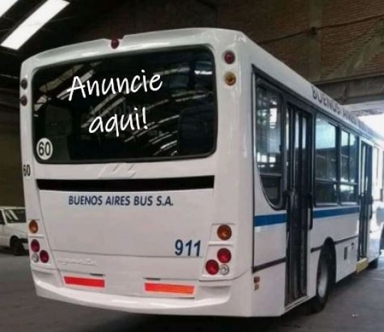 bus-290