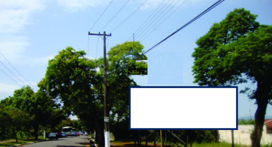 08-vi