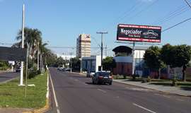 Ponto nº 203cp