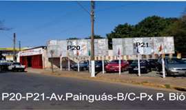 Ponto nº P20dp