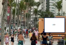 Ponto nº 990FF